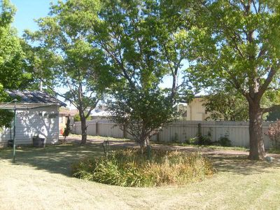 77 Wamboin Street, Gilgandra