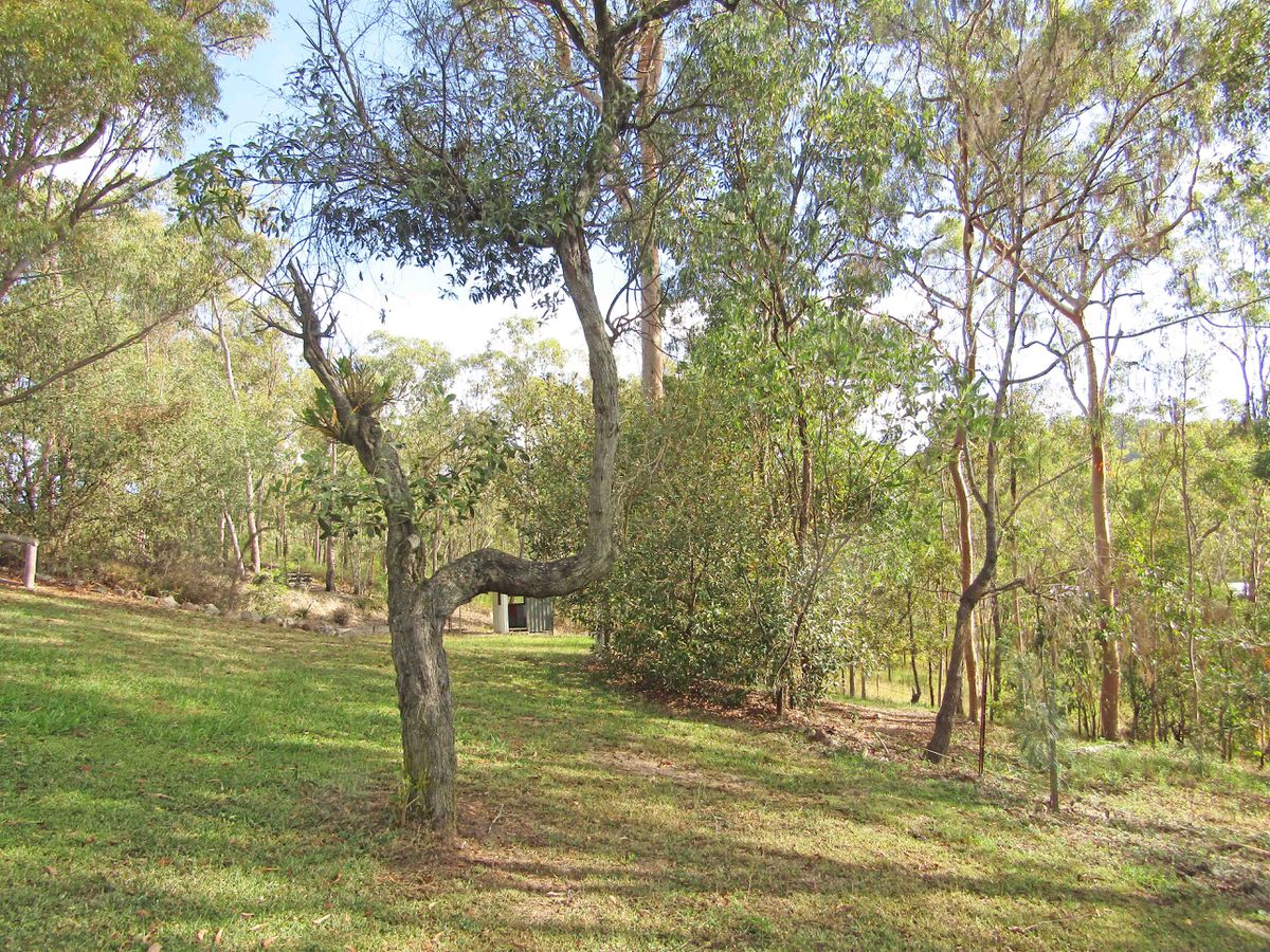 Herberton