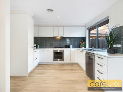 60A Banjo Circuit, Lynbrook