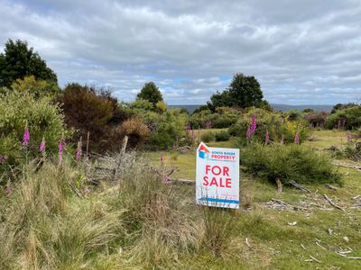 PID 6998561 66 Walker Street, Waratah