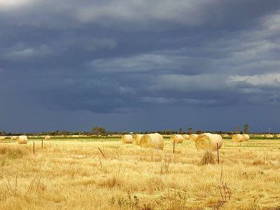 307 Hornsby Road, Cohuna