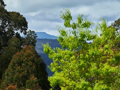 45 Bromfield Drive, Barwite