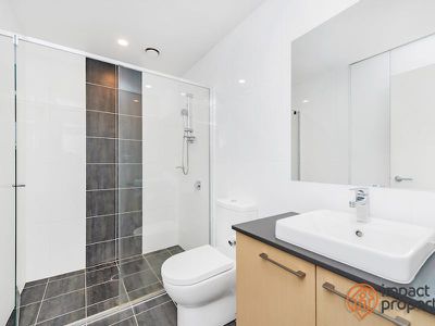 288 / 7 Irving Street, Phillip