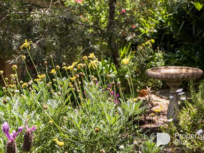 4 Alma Court, Kangaroo Flat