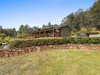 1010 Halls Track Road, Pelverata