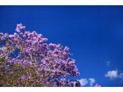 7-17 Western Avenue, Montville