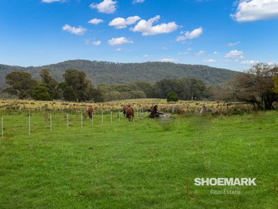 274 Mountain Creek Road, Braidwood