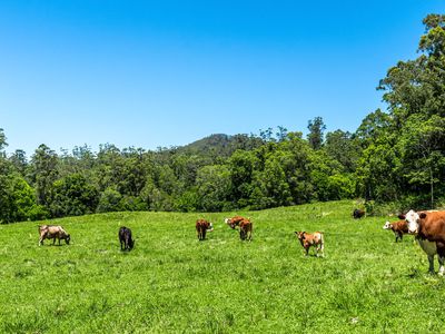 257 Creegans Road, Barkers Vale