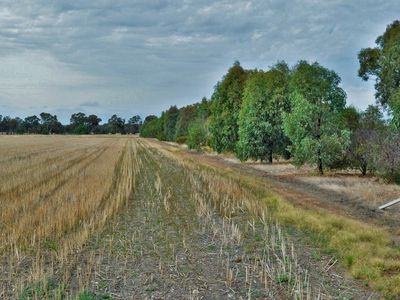 Lot 3 Cornishtown Road, Rutherglen