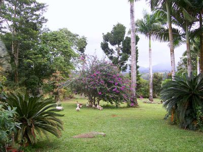 1400 Innisfail Japoon Road, Germantown