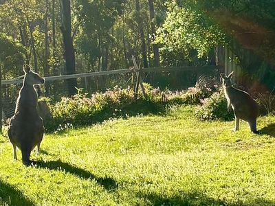 32 L L Road, Officer