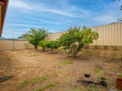 30 Ravensfield Rd, Baldivis