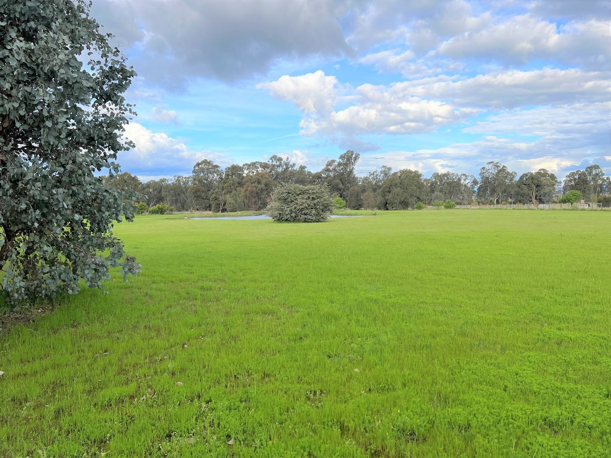 737 Lake Mokoan Road, Chesney Vale