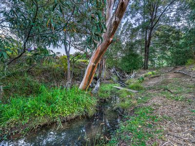 9 Homestead Crescent, Kingsholme