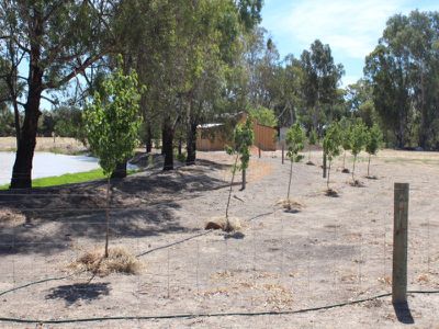 Lot 12, Glenview Drive, Barham
