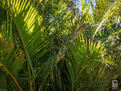 42 Ninth Avenue, Toukley