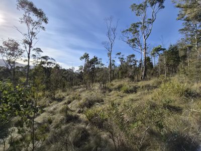 77 Grovenor Rise, Grove