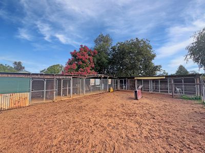 82 Bushs Lane, Gunnedah