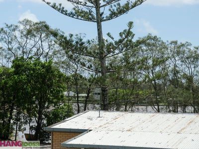 10 Hilton Terrace, Tewantin