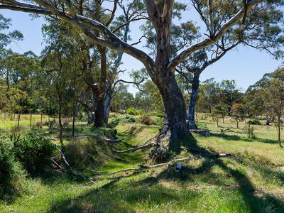 320 Eagles Road, Harcourt