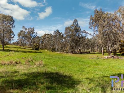 510 Spring Flat Road, Heathcote