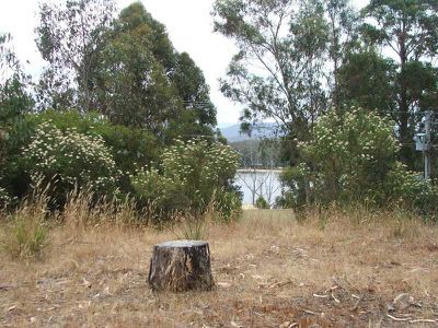 75 Williams Road, Randalls Bay