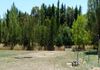 126 Thompson Road, Orange