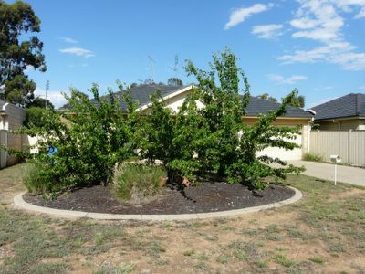 Tocumwal
