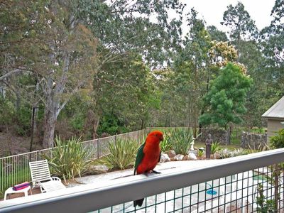 4 Rectory Park Way, Kangaroo Valley