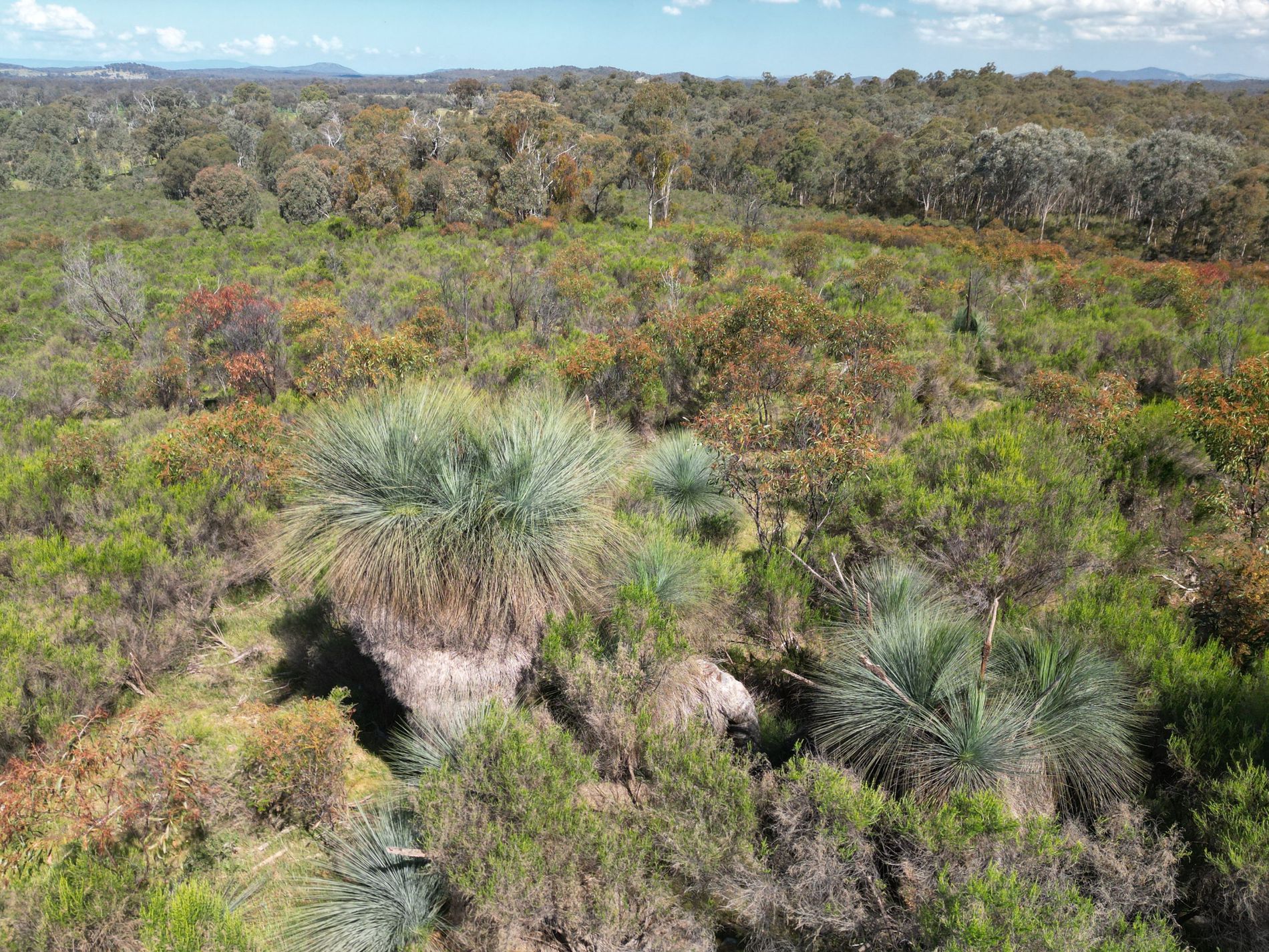 Lot 12 Heathcote-Nagambie Road, Moormbool West