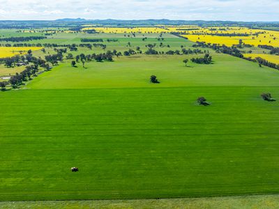 312 Merri Meric Road, Henty