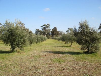 160 Grisold Road, Laanecoorie