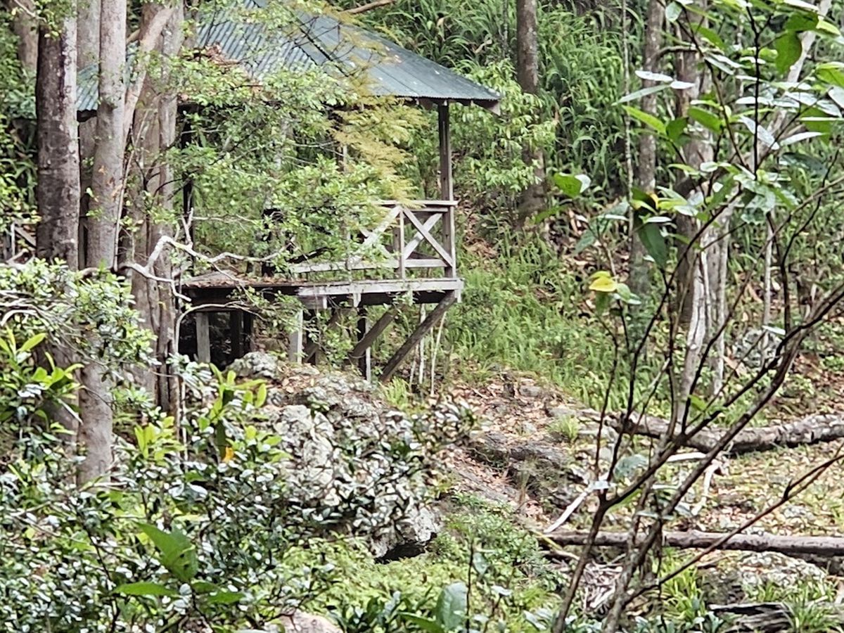 20 Lilly Pilly Road, Wilsons Creek