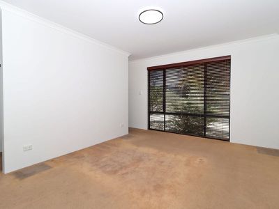 5 Diamondbird  , Baldivis
