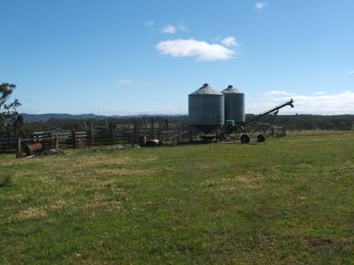 4646 Strathbogie Road, Emmaville