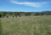 435 Boree Lane, Orange