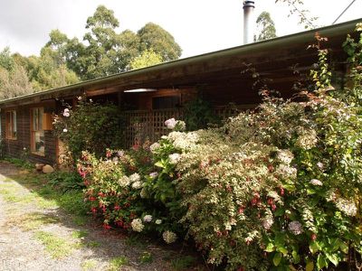 25 Milford Road, Kaoota
