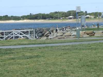 1 / 39 Reddall Parade, Lake Illawarra