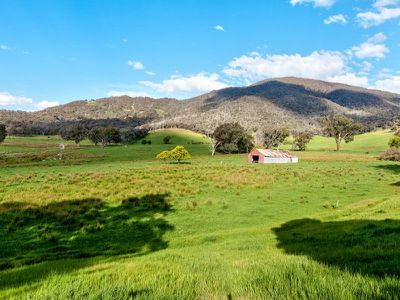 61 Adams Lane, Staghorn Flat