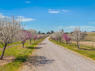 13632 New England Highway, Tamworth