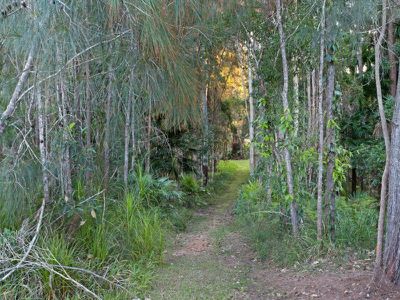 43 Golf Course Drive, Tewantin