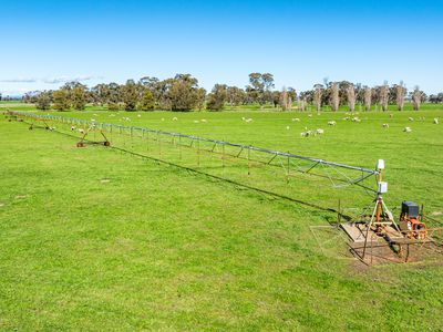 'Pastoria Park' 205 Balldale Road, Hopefield