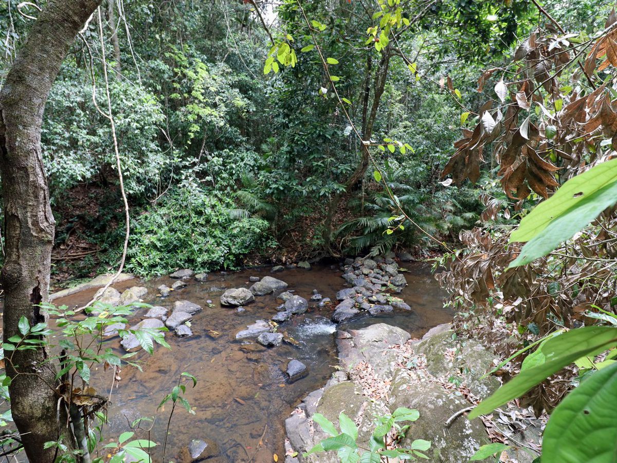 Danbulla
