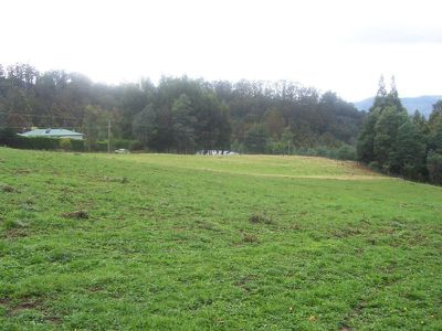 299 Swamp Road, Franklin