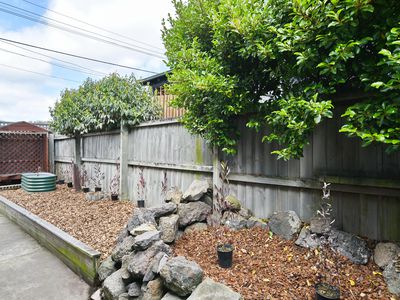 491 Tuam Street, Phillipstown