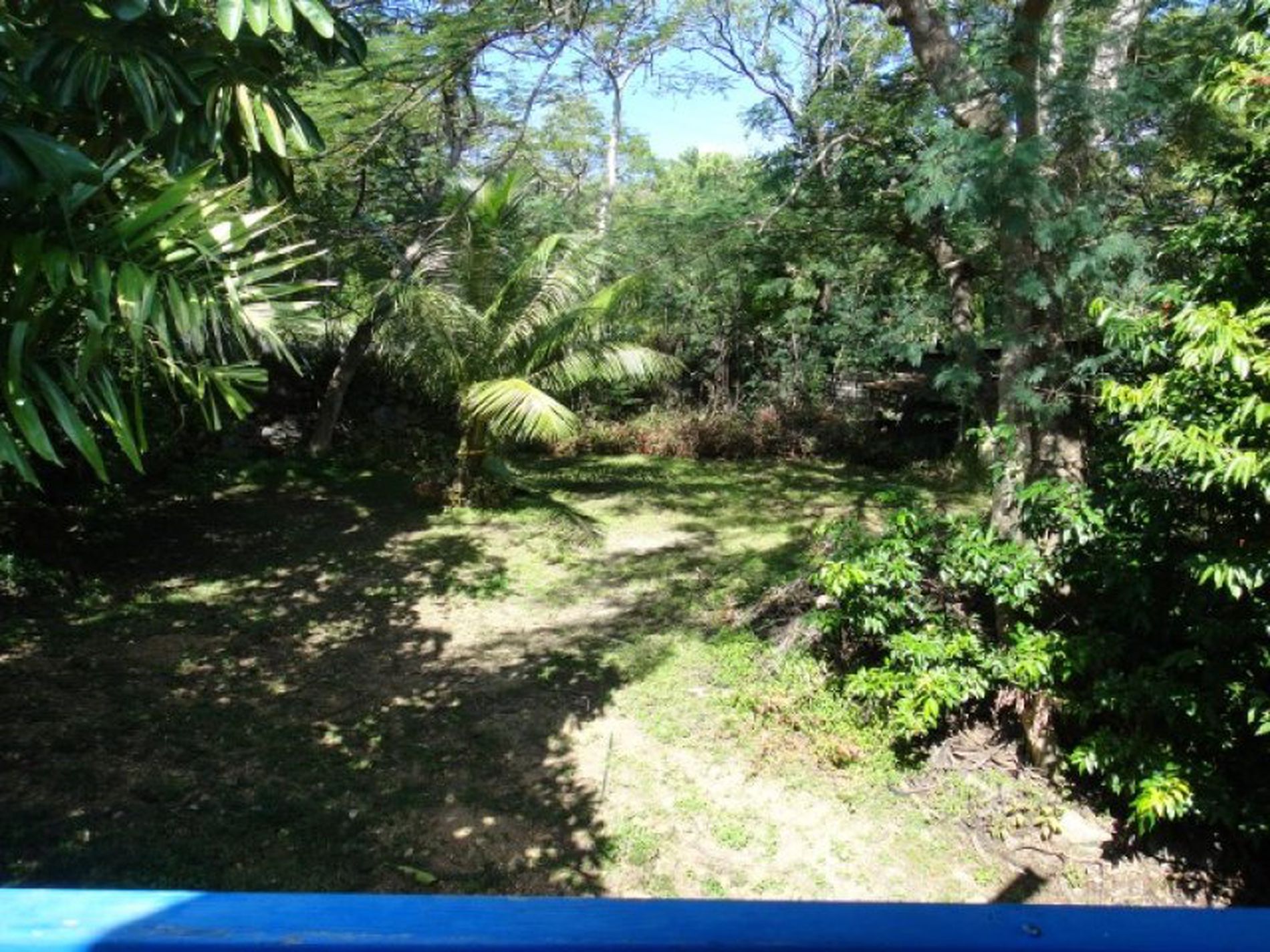 2 / 55 Helen, Cooktown