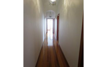 77 Pine St, Randwick