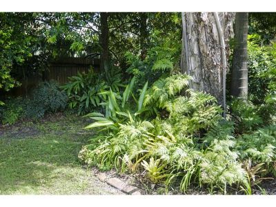 59 Griffith Avenue, Tewantin