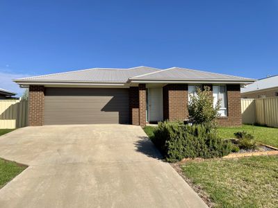 97 Citrus Road, Griffith