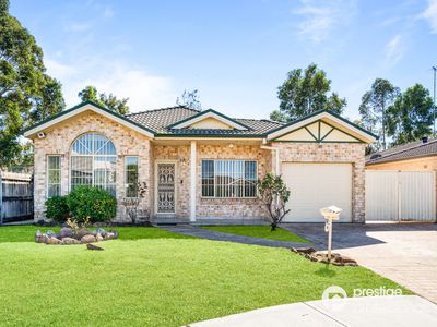 55 Wombeyan Court, Wattle Grove
